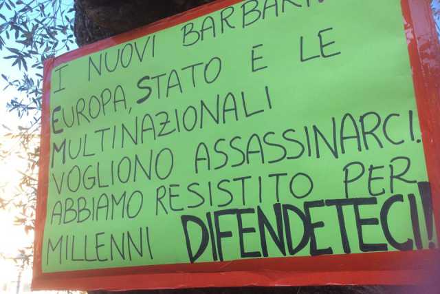 Urla e dubbi: il Salento difende i suoi ulivi da xylella e strane ''ombre''